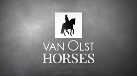 NL: Hengstenshow 9 april - 14.00 uur